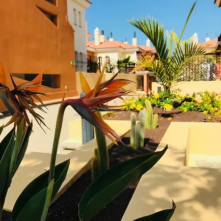 Apartment La Casa Canaria La Playa de Arguineguín