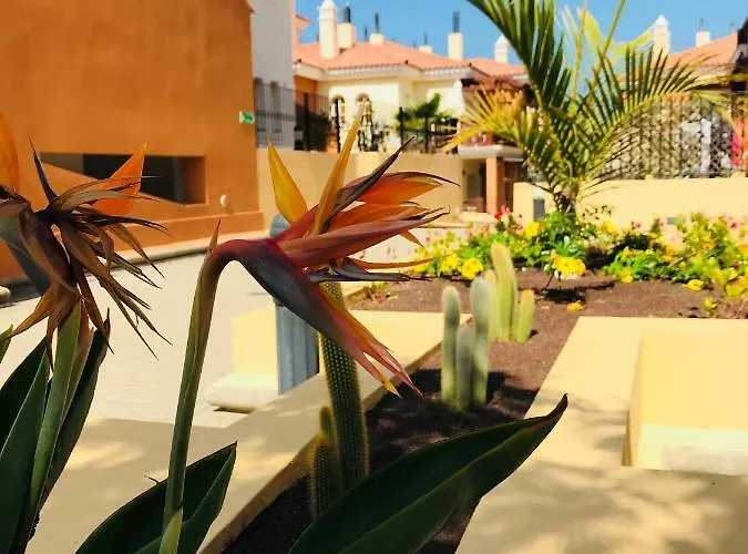 Appartamento La Casa Canaria La Playa de Arguineguín