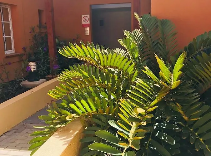 Appartamento La Casa Canaria La Playa de Arguineguín